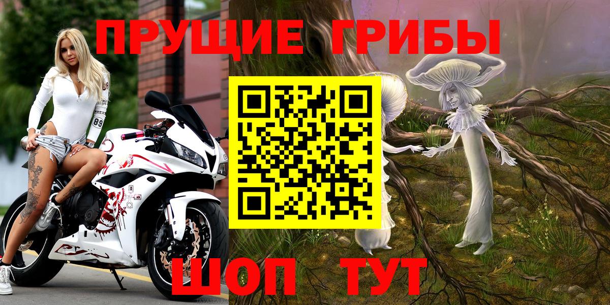 Вышний Волочёк  Псилоцибиновые грибы мицелий  Вход с VPN 