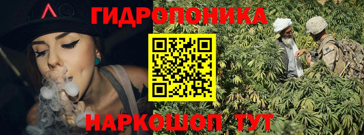 Конопля AK-47 Вышний Волочёк